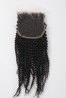 Perruque sans colle 2x6 HD Lace Closure Afro Kinky Curly 100% Cheveux Humains Pré-Pluckée Ligne de Cheveux Naturelle pour Femmes Noires Vente en Gros