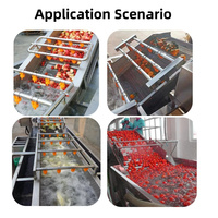 Volledig automatische fruit- en groentewasmachine met continu transportband voor sla, aardappelen en andere groenten