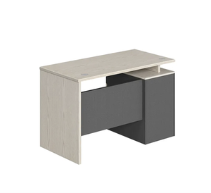 Escritorio de recepción ejecutivo de muebles de oficina pequeños modernos para mesa de ordenador de CEO con escritorio de oficina de madera de estilo de panel de madera - Product Image 4