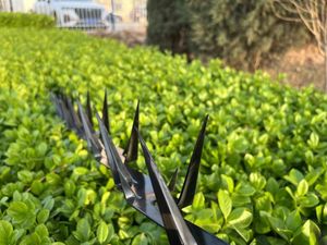 ตกแต่งรั้ว<span class=keywords><strong>ลวด</strong></span>หนามเพื่อความปลอดภัยป้องกันการปีนวัสดุ<span class=keywords><strong>ลวด</strong></span>เหล็กเคลือบผงลวดเหล็ก - Product Image 5