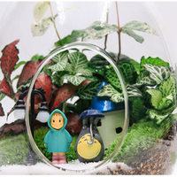 56H Kreative EGG-förmige Glasflasche DIY Aquascape Home Decoration Boro silikat Terrarium Moos Pflanzer Flasche Blumenvase