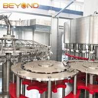 Machine de remplissage et de bouchage automatique d'eau potable CGF32-32-8 de 250 ml à 2 L, ligne de production de bouteilles en PET