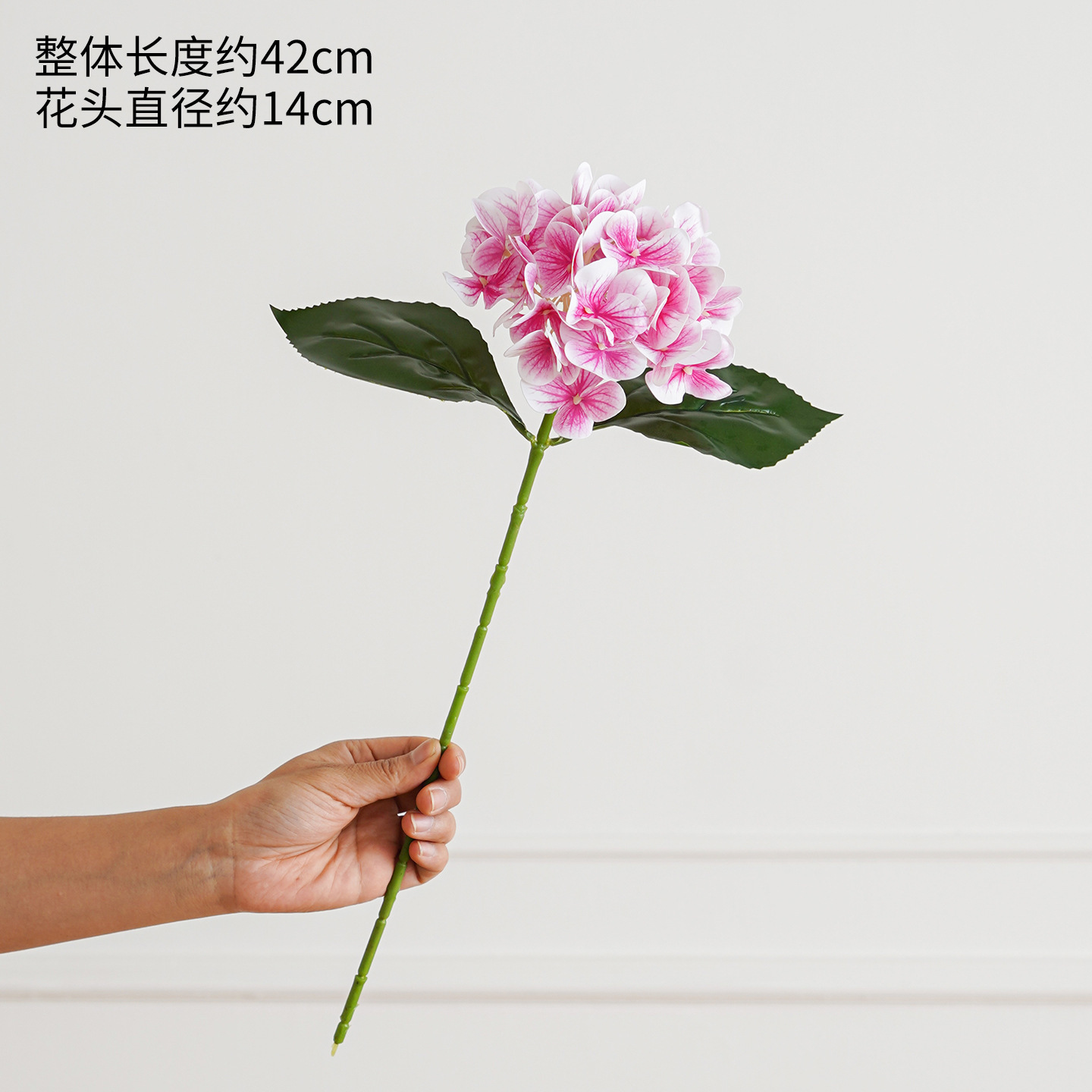 Polvo de hortensia de una sola cabeza