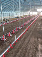 Nouvel équipement d'élevage au sol pour poulets de chair, système d'alimentation automatique pour volailles, mangeoire à plateau et ligne d'abreuvement par pipette, garantie 1 an
