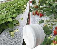 Filet de soutien pour fraises en PEHD en gros, maille de protection des fruits plantés au sol pour serres agricoles et ombrage de jardins