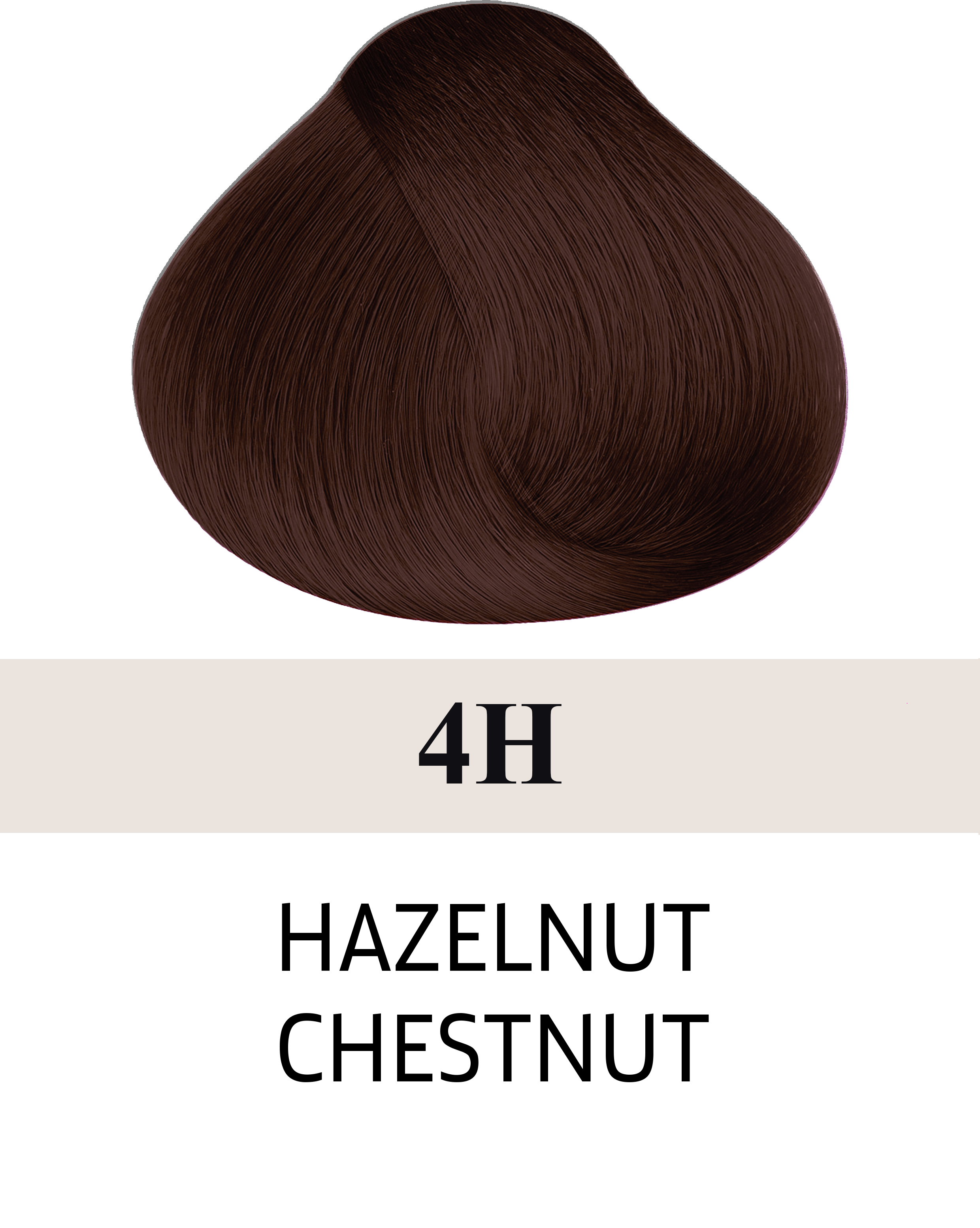 4H Hazelnut Chestnut