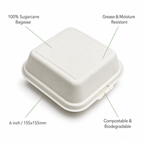 Boîte à clapet compostable de 8 pouces en bagasse de canne à sucre, conteneur articulé pour la préparation de repas à emporter, la livraison de nourriture pour restaurants
