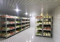 Unité de réfrigération commerciale compacte pour entrepôt frigorifique, congélateur sur mesure avec équipement complet pour la conservation des fruits, conteneur intégré