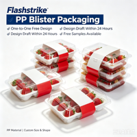 Boîte à lunch alimentaire personnalisable FlashStrike AA2 en PVC/PET avec emballage blister et options de conception de logo