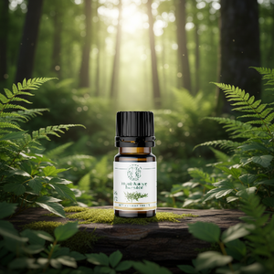 Huile de romarin pure distillée à la vapeur de Bahia Laboratoire, sans solvants, testée par GC, pour la formule de crème anti-âge, sérum, tous types de peau - Product Image 1