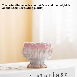 Vaso in ceramica per piante grasse con petali sfumati creativi, colorato, semplice, traspirante, lucido, piccolo vaso in stile nordico. - Product Image 2