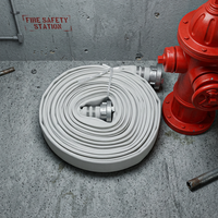 Doublure en caoutchouc EPDM de 2,5 pouces DN65 16 bars pour camions de pompiers et applications d'hydrants
