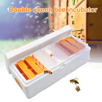 Nouvelle boîte d'accouplement double pour reines d'abeilles, en plastique, avec mousse pollinisatrice, outil de ruche pour l'élevage, mini ruche