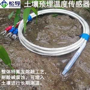 เทอร์โมมิเตอร์วัดอุณหภูมิแบบแพลตตินั่มเคลือบเทฟลอน PT100 สำหรับวัดอุณหภูมิในดินแบบฝังล่วงหน้า, เทอร์โมคัปเปิลชนิด K, หัววัดกันน้ำ - Product Image 3