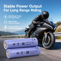 High Power EV 18650 30PL Lithium Ion Battery Cell 3000mAh 60A for E-bike Electric Scooter Battery Pack