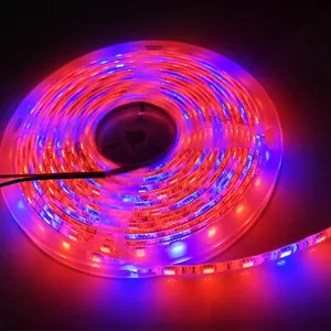 전체 스펙트럼 Phyto 램프 5m LED 성장 조명 5050 12V 60 LEDs/m 다이오드 스트립 라이트 테이프 성장 램프 꽃