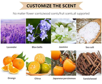 Diffuseur d'arômes sans flamme pour la maison avec bâtonnets floraux, parfum longue durée, désodorisant, ensemble de bouteilles d'arômes