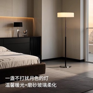 Lampadaire LED avec interrupteur, usage domestique, zone d'éclairage 10-15 m², lumière chaude, verre dépoli - Product Image 1