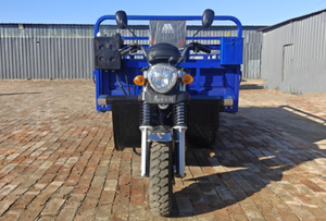 Mở Phải ba bánh xe gắn máy 300cc động cơ xăng 9 bánh xe thùng nhiên liệu lớn Heavy Duty tốc độ cao 400kg tải trọng - Product Image 2