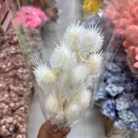 Bunga Teasel Thistle Alami Awet untuk Dekorasi Pernikahan dan Rumah (Grosir)