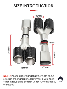 Tuyau d'échappement de voiture SYPES pour Mercedes Benz GT50 GT53 mise à niveau GT63 <span class=keywords><strong>AMG</strong></span> Brabu * <span class=keywords><strong>s</strong></span> embout d'échappement en fibre de carbone en acier inoxydable embout de silencieux - Product Image 5