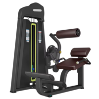 Fournisseur professionnel fabricant chinois fournir dos machines d'extension exercice musculation pour multi gym