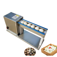 Moulin à éplucher les œufs de caille à enlever automatiquement les coquilles en vente Mini éplucheur d'œufs de caille électrique à usage domestique Décortiqueur d'œufs pour petits oiseaux