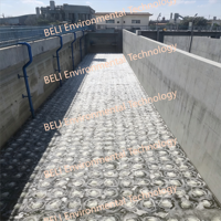 Diffuseur à disque BELI EPDM 9 pouces noir pour traitement des eaux usées, filtration et osmose inverse, tête de réservoir aérobie 100L/heure