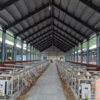 Construcción de Acero Prefabricada con Certificación ISO, Establos para Ovejas y Cabras, Estructura de Acero para Granjas