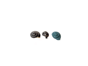 3 Styles Harry de <span class=keywords><strong>Hermione</strong></span> Escargot Jeter Pierre Prop Pierre Résine Escargot Magie Prop - Product Image 5