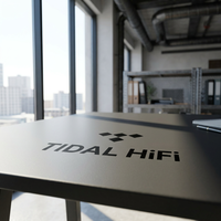 Compte d'abonnement Premium Tidal Music Hifi Plus de 12 mois en stock