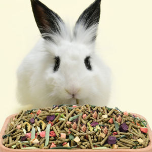 Alimento para Coelhos Liofilizado por Atacado da Fábrica YEE com Capim Timothy, Alfafa e Vegetais, Alta Nutrição para Pequenos Animais - Product Image 2