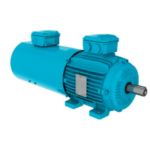 Moteur asynchrone triphasé WEG W21 à démarrage direct en ligne, haute efficacité, 50/60 Hz, 0,55 kW ~ 355 W, montage B3T, AC W21 Weg W21 - Product Image 3