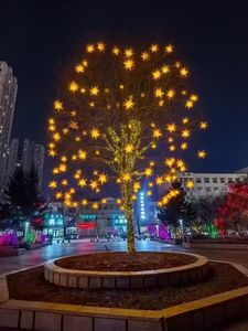 ไฟแอลอีดีจุติของต้นคริสต์มาสของโมราเวียไฟแขวนปาร์ตี้สำหรับตกแต่งเทศกาล - Product Image 5