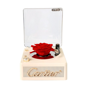 Mini Altavoz con Diseño de Rosa y Luces LED, Lindo Altavoz Bluetooth para el Hogar, Fiestas, <span class=keywords><strong>Karaoke</strong></span> y Viajes, Sistema de Sonido Moderno - Product Image 5