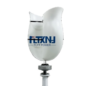 Lámpara de Jardín, Luces de Paisaje para Parques, Energía Eólica Gratuita, Generador Eólico de 100w 12v, Productos Relacionados con la Energía Eólica Tulip - Product Image 1