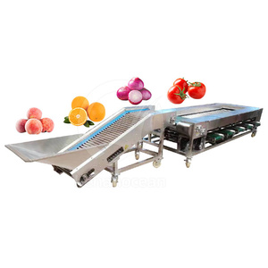 Macchina Automatica <span class=keywords><strong>per</strong></span> la Selezione, Lavaggio e Pesatura di Frutta e Verdura: Mele, <span class=keywords><strong>Patate</strong></span>, Pomodori, Arance, Avocado, Cipolle - Product Image 4