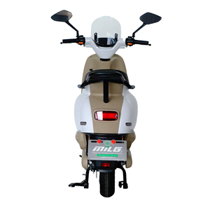 Trottinette Électrique CE 1000W pour Adultes, Bici Elettrica pour Livraison, Citycoco, Fournisseurs Vérifiés de Trottinettes Électriques - Product Image 3