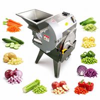 Volledig automatische Achcharu-snijmachine, groente-sambol-snijmachine, yam-mamuang-snijmachine, Yum Woon Sen-snijmachine voor restaurants