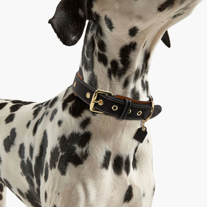 Obral besar kerah anjing pesona kerah anjing kulit dengan gesper desain grosir pita pribadi mewah Anda pita cokelat padat - Product Image 4