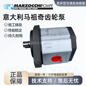 ปั๊มน้ำมันเกียร์แรงดันสูง Marzocchi รุ่น GHP3A-D-66-FG แบบยึดหน้าแปลน ขับเคลื่อนด้วยไฟฟ้า สำหรับอุปกรณ์เครื่องจักรกล - Product Image 2