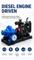 Pompa Sentrifugal Double Suction Split Case Aliran Tinggi untuk Irigasi, Perlindungan Kebakaran, dan Pasokan Air Industri