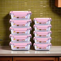Ensemble de boîtes de conservation alimentaire en verre Ilicate 10 pièces Résistant à la chaleur pour four à micro-ondes