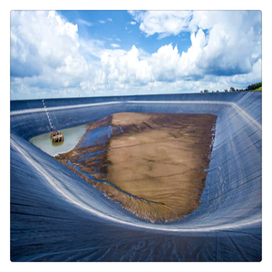 Fabricante de Geomembrana de HDPE, tanques de revestimiento para estanques de peces al aire libre, Geomembrana para cría de peces y camarones - Product Image 1