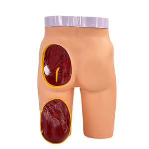 Inyección intramuscular avanzada en la nalga; modelo anatómico de inyección en la nalga; modelo didáctico para práctica de enfermería. - Product Image 2