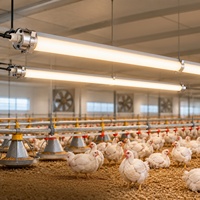 Système d'éclairage LED pour volailles LUXINT, 4 pieds, 5 pieds, 40W, 50W, 60W, IP69K, IK10, lumière LED tri-étanche, dimmable, pour poulailler, ferme avicole