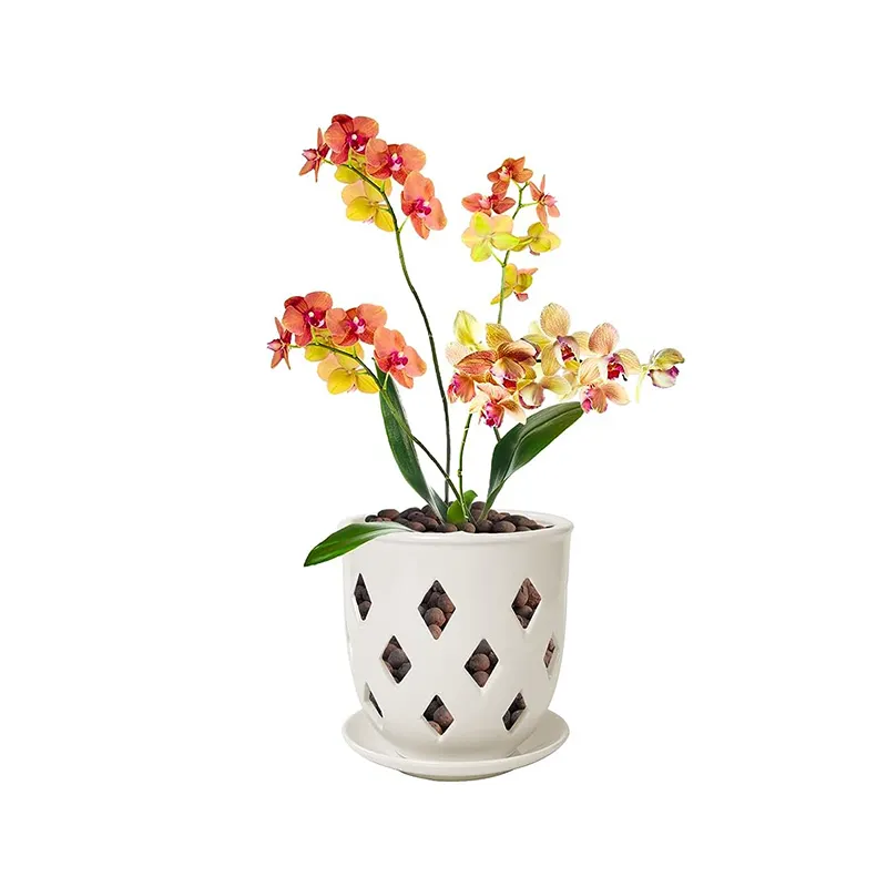 Pots en céramique de 6 pouces avec soucoupe jardinière de fleurs décorative losange orchidée Pot trous pour Dendrobium Oncidium Cattleya rempotage