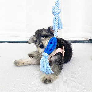Juguetes Duraderos y Ecológicos de Cuerda con Pelota de Goma para Perros - Limpieza Interactiva de Dientes para Perros Pequeños/Medianos y Gatos, Dispensador para Juego de Tira y Afloja - Product Image 4