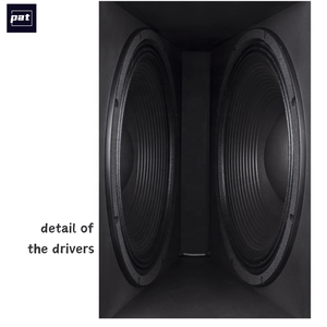 Pat V221 Kép 21 Inch Loa Siêu Trầm Âm Thanh Chuyên Nghiệp Ngoài Trời Đôi 21 Inch Thụ Động Loa Siêu Trầm Thiết Bị Âm Thanh Cho DJ Sự Kiện - Product Image 3