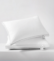 Oreillers de lit standard de grande qualité pour hôtels de luxe Lot de 2 oreillers d'hôtel en duvet ferme de remplacement pour le sommeil